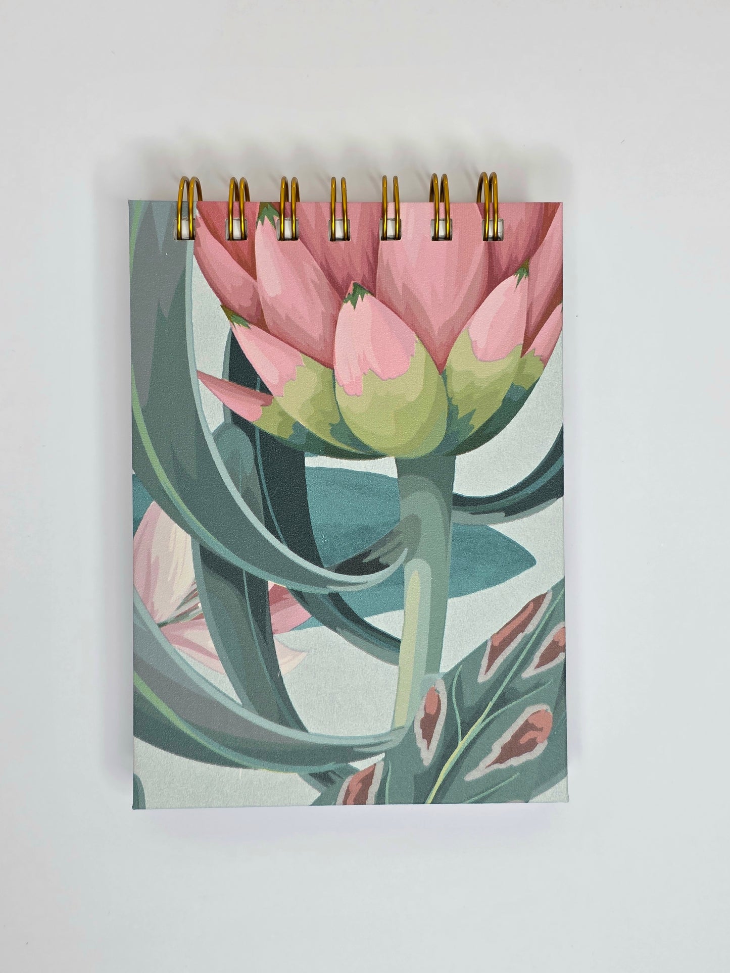 Exotic Forest Notebook
